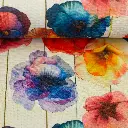 082664-366010-beate-canvas-ballen.webp