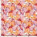 23309_011_7.webp