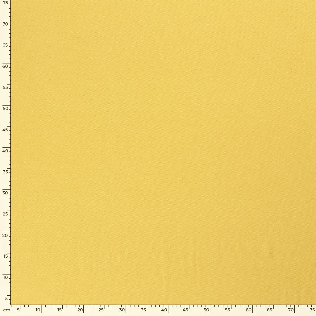 19500_033_7.webp