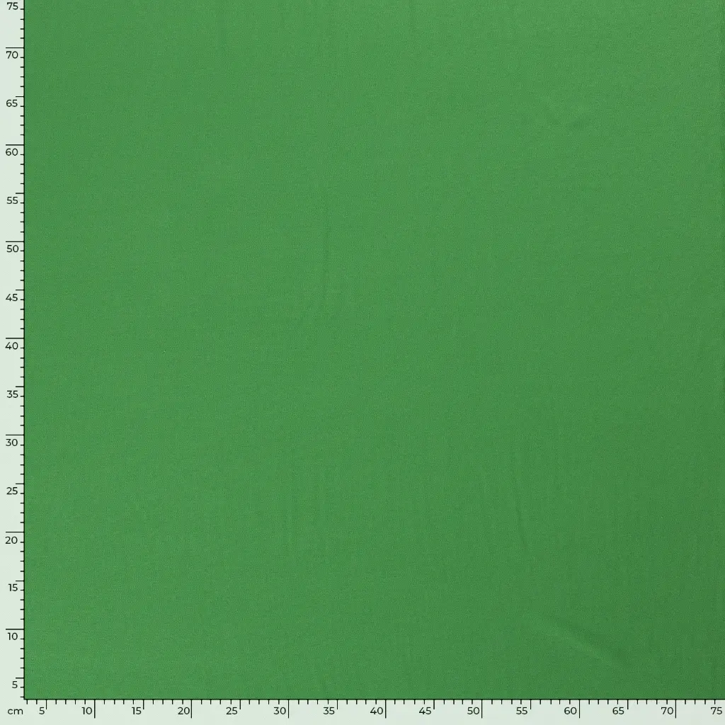 19500_025_7.webp