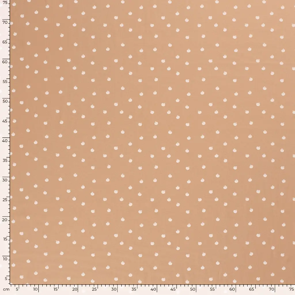 19469_011_7.webp