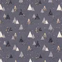 20757_007_1.webp
