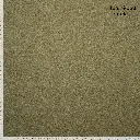 FM791030764.webp