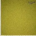 FM792414732.webp