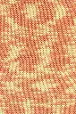 526_0059_LANGYARNS_HandarbeitsgarnColor_800_C.webp