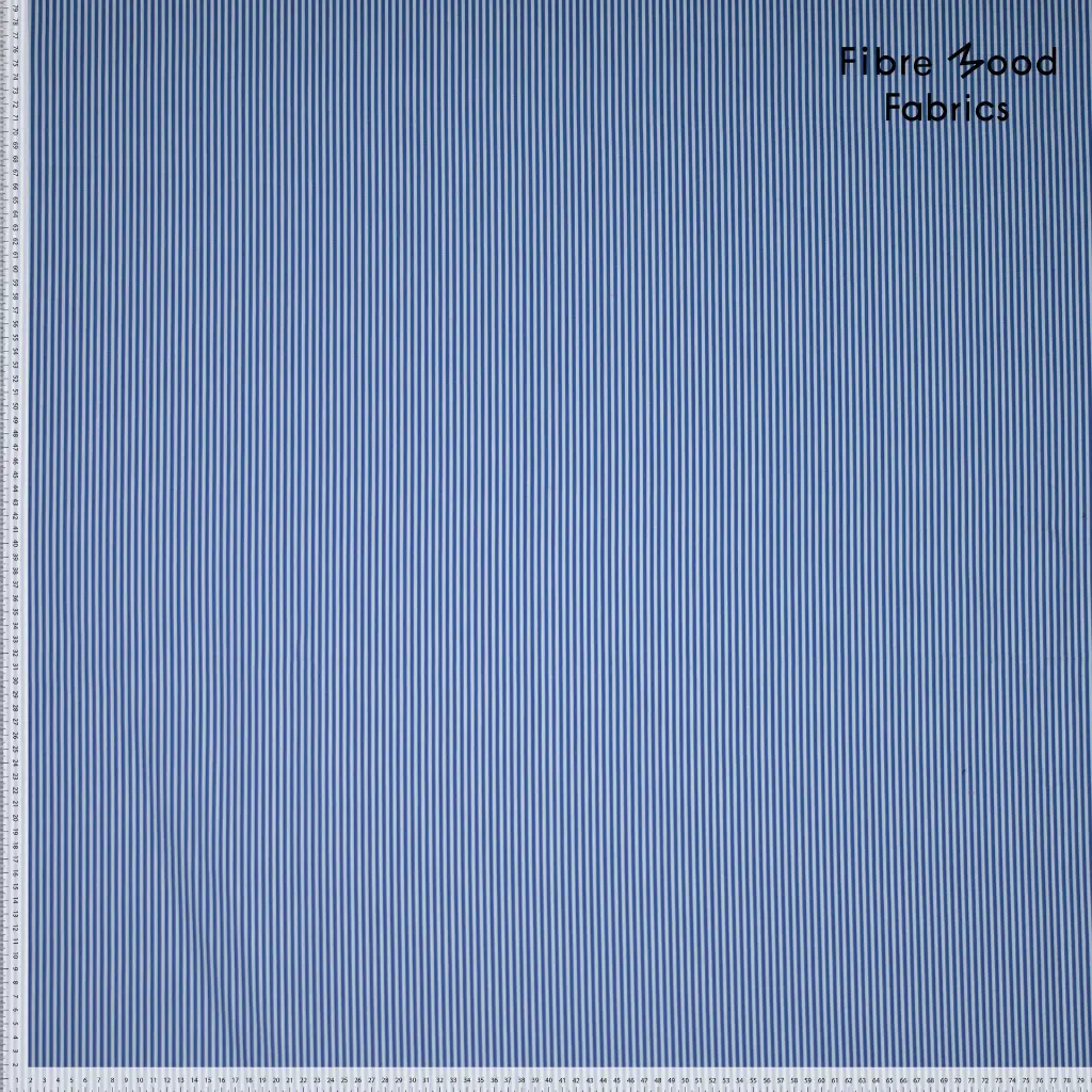 FM41013010.webp