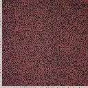 FM41707590.webp