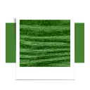 moss-green (1).webp