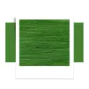 moss-green (1).webp