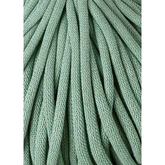 aloe (5).jpg