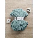 duck-egg-blue (3).webp