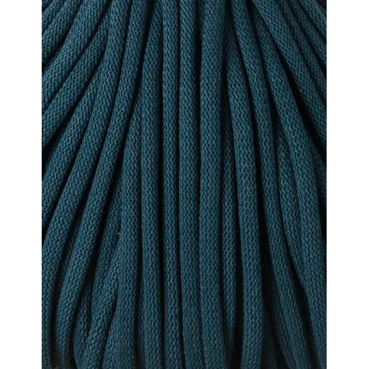 peacock-blue (3).webp