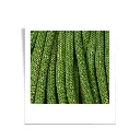 shiny-moss-green-9mm-100m (1).webp