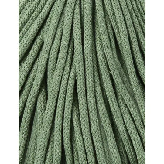 eucalyptus-green (6).webp