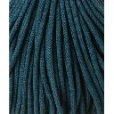 peacock-blue (4).webp