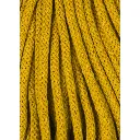 spicy-yellow (8).webp