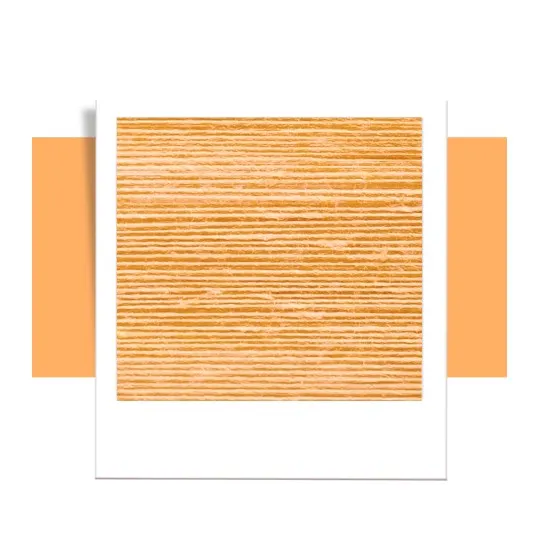 orange (8).webp