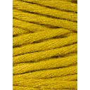 spicy-yellow (10).webp