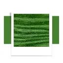 moss-green (3).webp