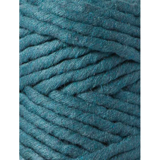 peacock-blue (6).webp