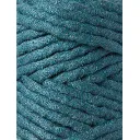 peacock-blue (6).webp
