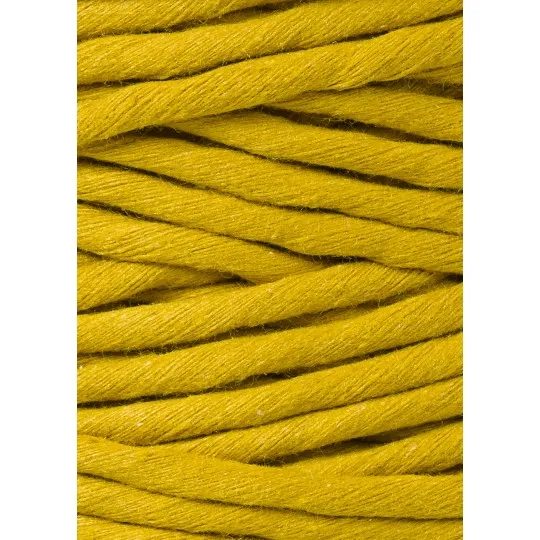 spicy-yellow (14).webp