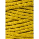 spicy-yellow (14).webp