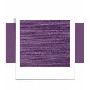 violet (5).webp