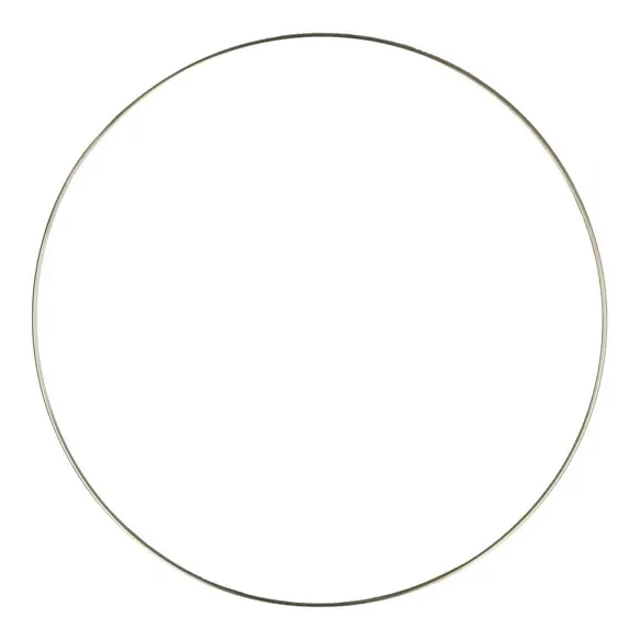 [79890] Ring roestvrij staal (15)