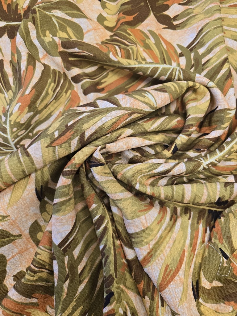 Monstera kaki
