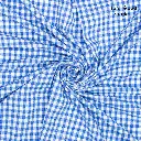 Zen - blue/white