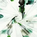 Jazz - multicolor