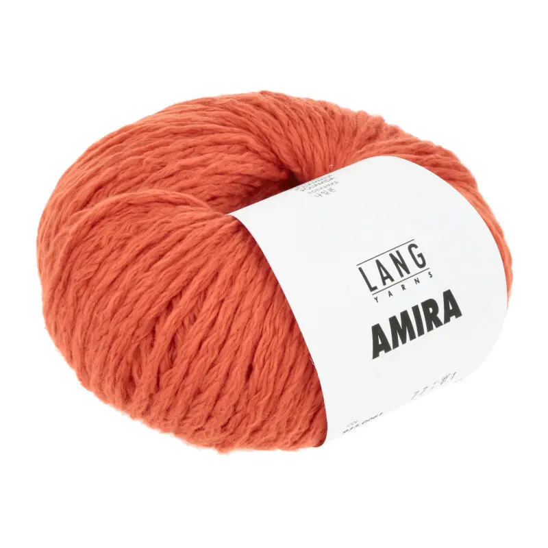 [933.0061] LY - AMIRA (0061)