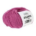 LY - ATLANTIS