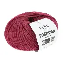 LY - POSEIDON superwash