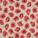 Petra - poppies
