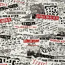 Newspaper