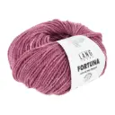LY - FORTUNA