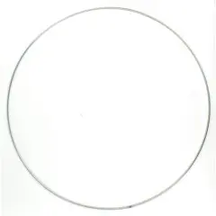 [087.3004] Metalen ring (30)