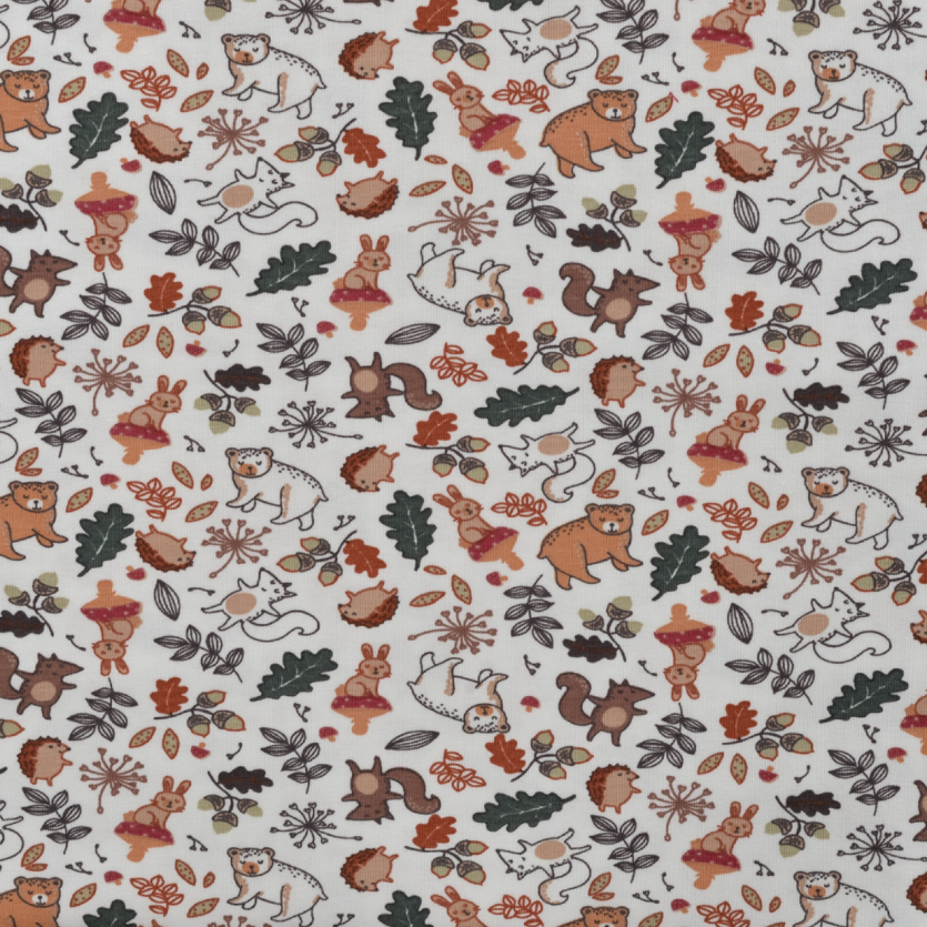 [VDS-2186] Autumn & Animals