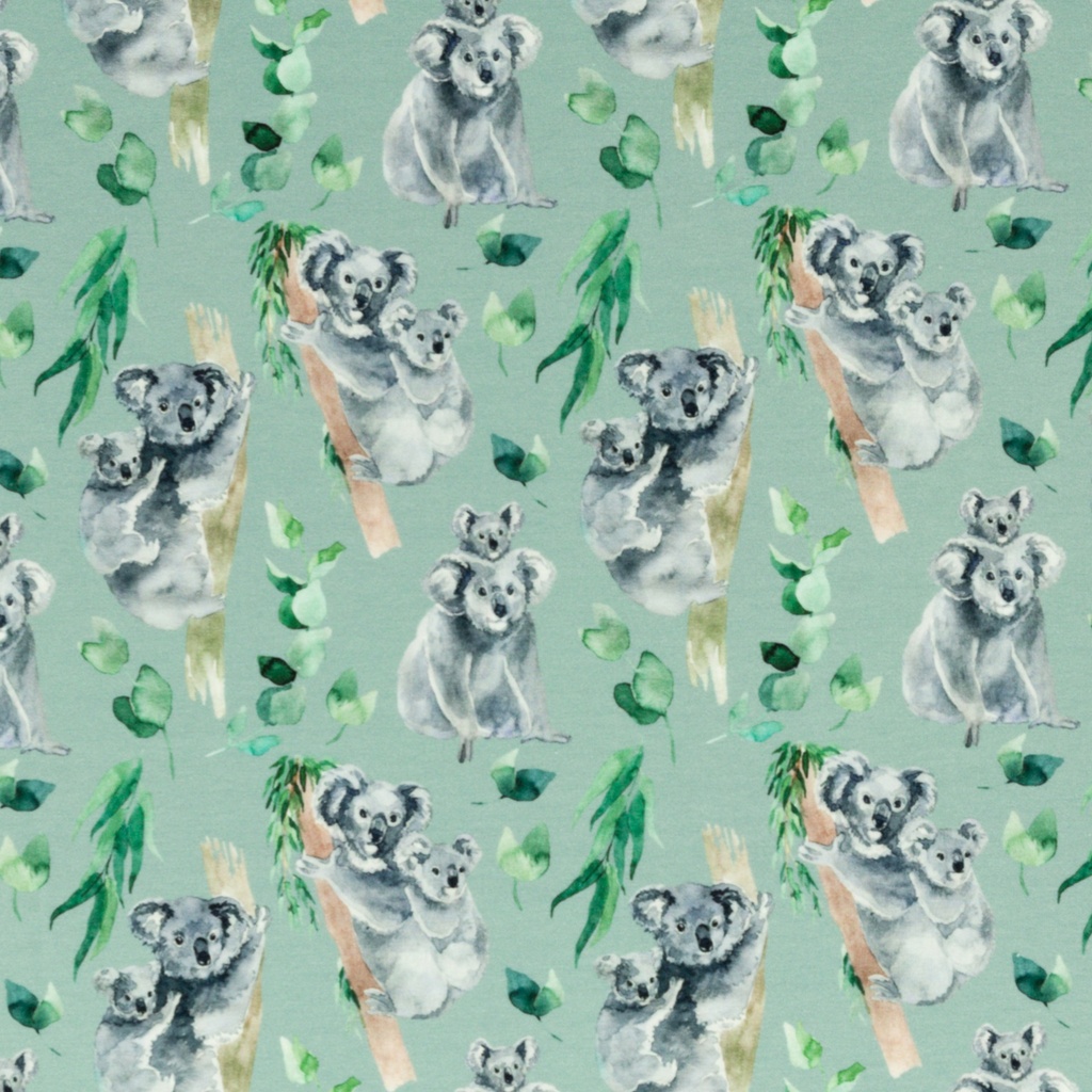 Nora Koala