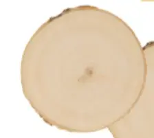 Populierschijf 8-10cm