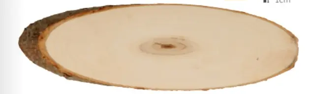 Populierschijf ovaal 36-42cm
