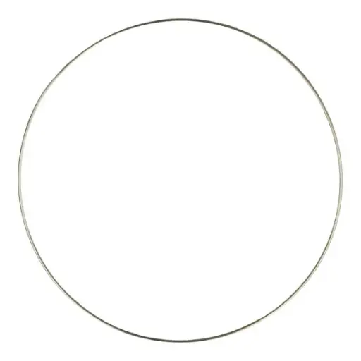 Ring roestvrij staal