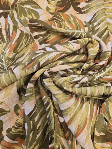 [5024-VDS] Monstera kaki