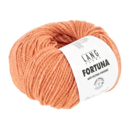 LY - FORTUNA
