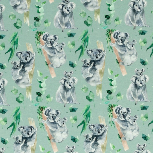 [VDS-2202] Nora Koala