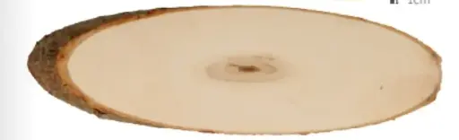 [14002963] Populierschijf ovaal 36-42cm